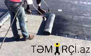 Tol ustasi_0